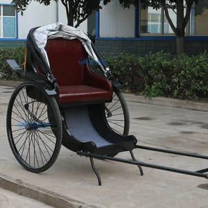 Carroza de Lujo Tipo Rickshaw, Carroza Real para Caballos en Venta, Transporte Especial, Carroza de 2 Ruedas para Poni, Rickshaw - Product Image 4