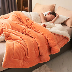 Manta de lana de otoño e invierno, mantas informales de franela Coral cálidas y esponjosas para dormitorio, sofá cama, edredones suaves y cómodos para el calor - Product Image 1