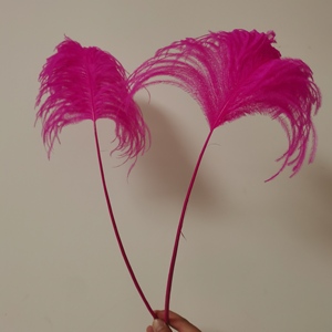 <span class=keywords><strong>Punta</strong></span> di piume di struzzo 60-65cm all'ingrosso per zaini di carnevale Festival di Samba Costume decorazioni modisteria - Product Image 2