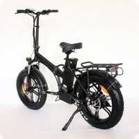 Vélo électrique à pneus larges de 20 pouces, moteur arrière Bafang 750W, 48V, vélo électrique à pneus larges, E-bike