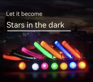 애완 동물 LED 개 목걸이 조정 가능한 플래시 충전 배터리 애완 동물 목걸이 반사 LED 개 애완 동물 목걸이 야간 분리 방지 - Product Image 3