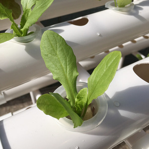 Tubería de <span class=keywords><strong>PVC</strong></span> hidropónica, estante de plantación, plantador de vegetales - Product Image 5