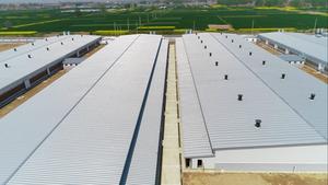 Boerderij Gebouw Prefab Stalen Structuur Vee Koe Schuur Huis Met Schuur - Product Image 3