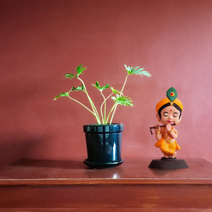 Ídolo del Señor Krishna Pintado a Mano con Acabado en Tono Natural de Piel – Simboliza Fuerza, Devoción y Protección, Ideal para el Hogar y Automóviles - Product Image 2