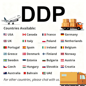 Agente de Envío DDP Profesional, Servicio de Carga Consolidada desde China, Agente de Envío Puerta a Puerta a Australia, Canadá y Estados Unidos - Product Image 6