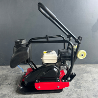 Compacteur à plaques réversible de type 90, alimenté au diesel ou à l'essence, pour la compactation d'asphalte et de fondations, ODM disponible