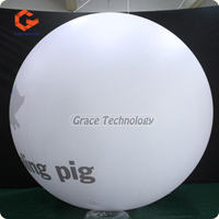 Ballon gonflable blanc géant de 5m pour la décoration Ballon gonflable de projection Ballon blanc pour projecteur
