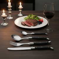 Ensemble de 24 couverts Laguiole de luxe en acier inoxydable, personnalisable OEM, avec finition miroir écologique et coffret cadeau en bois