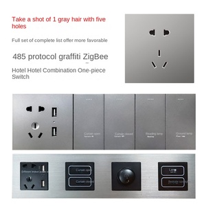 Hotel Room Power Saving Custom OEM 10A 2-Gang PC Panel Smart <b>Touch</b> Wall <b>Switch</b> IP27 - Product Image 2