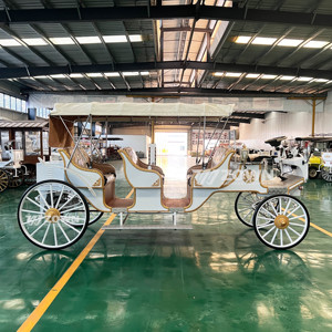 รถม้าชมวิวไฟฟ้าสีขาวทองแบบเปิดประทุน หลายที่นั่ง สำหรับงานแต่งงาน งานพาเหรด และการขนส่งในสวนสาธารณะ - Product Image 6