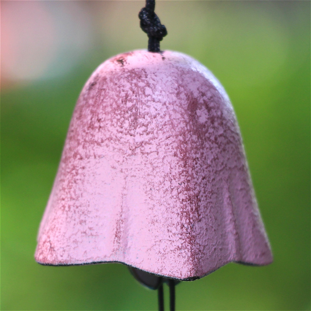 Rosa colorato