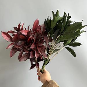 10 pièces couronnes de <span class=keywords><strong>laurier</strong></span> séchées naturelles pour les graduations séchées pour toujours conservées plantes vertes stabilisées tige <span class=keywords><strong>fleur</strong></span> d'osmanthus - Product Image 2