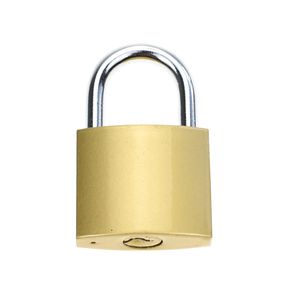 YH1257 सस्ते लोहे नकल पीतल ताला - Product Image 5