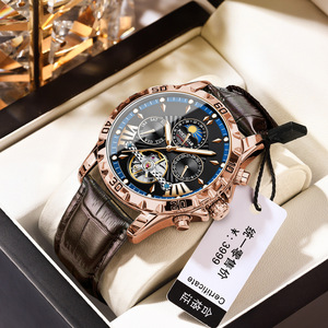 POEDAGAR 1410 <span class=keywords><strong>montre</strong></span> mécanique pour hommes entièrement automatique de <span class=keywords><strong>marque</strong></span> <span class=keywords><strong>suisse</strong></span> nouvelle <span class=keywords><strong>montre</strong></span> de luxe commerciale lumineuse étanche pour hommes - Product Image 6