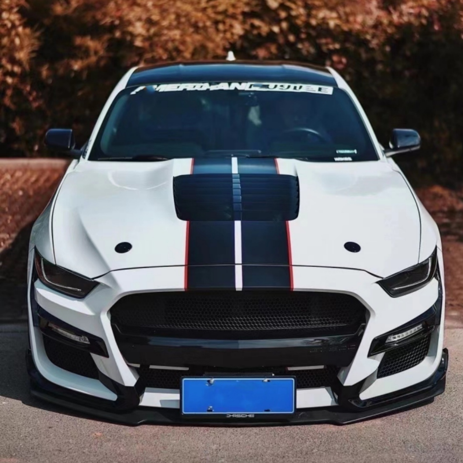 body kit mustang gt500