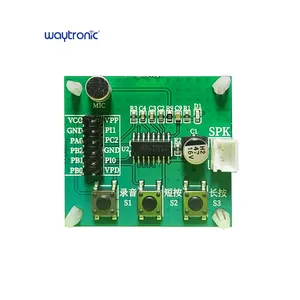 Electronic Components WT588 WT588D WT58F Voice Recorder IC Chip DAC PWM Output Programmable Sound Chip