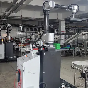מפעל אספקת אטרקטיבי מחיר Cobot Palletizer רובוט זרוע Palletizing Cobot זרוע