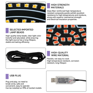 การออกแบบรูปหัวใจ LED แผงเมทริกซ์โคมไฟหน้าจอแสดงผลแบบนุ่มนวลไฟตกแต่งหน้าต่าง IP67 กันน้ำ 12V JHS-Z-21 สำหรับรถยนต์ - Product Image 3