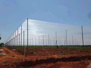Screen <strong>house</strong> <strong>anti</strong> <strong>hail</strong> <strong>net</strong> with high quality made by 100% new HDPE - Product Image 2