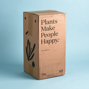 Brown Moving Corrugated Potted Live Plant Plant Shipping <strong>Box</strong> - Product Image 6
