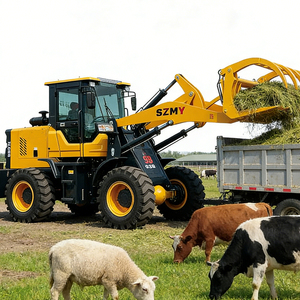 Китайские высококачественные фронтальные погрузчики: дизельные и электрические модели по выгодной цене - Product Image 2