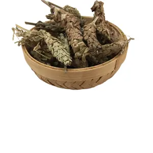 Xia Ku Cao Bulk Organic Self-heal Prunella Vulgaris Herb For Tea