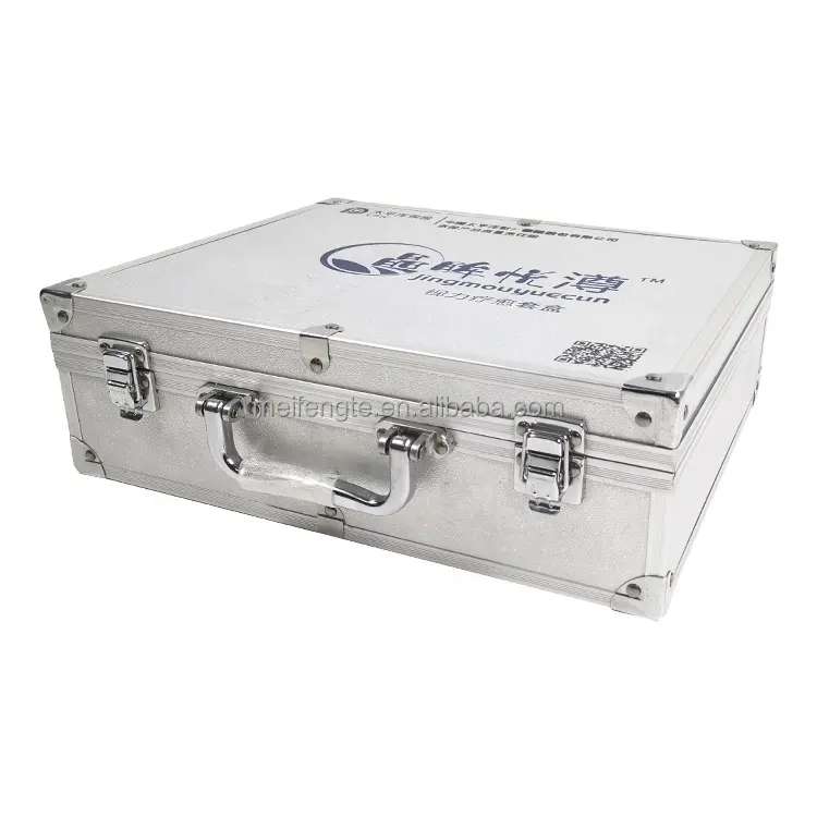 Hot sell Aluminum Storage Carrying Professional Case