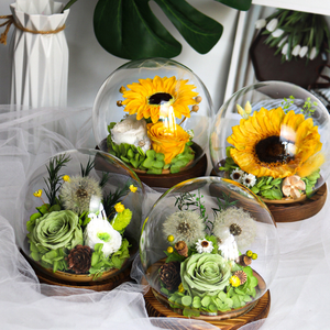 Diente de León Preservado, Flor <span class=keywords><strong>Eterna</strong></span>, Regalo Hecho a Mano, Adornos Creativos, Cumpleaños, Romántico, Novia, Bola de Cristal, China, Inmortal - Product Image 2