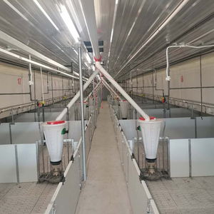 Automatic Dry and <strong>Wet</strong> <strong>Feeder</strong> Stainless Steel + pp <strong>Pig</strong> Feeding Equipment <strong>Feeders</strong>
