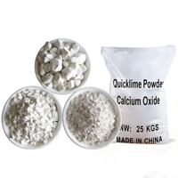 Oxyde de calcium (CaO) Chaux vive 80%-95% en granulés et poudre Marque YKX Qualité industrielle et agricole 100-600 Mesh CAS 1305-78-8 Prix usine