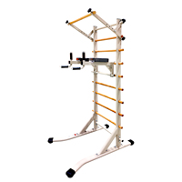 Structure d'escalade robuste pour la maison avec barres de dips réglables et cadre en acier pour un entraînement complet du corps