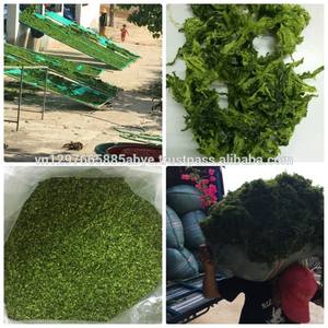 ULVA LACTUCA/ALGAS VERDES SECAS/Sophie - Product Image 5