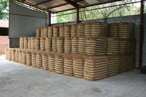 Palitos de Hoja de Coco NATURAL de Alta Calidad a Precio Especial de Vietnam - Material para Hacer Escobas - Product Image 6