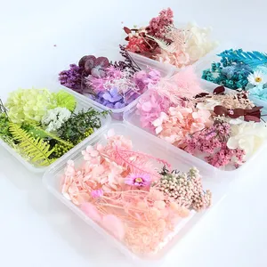 Kit <span class=keywords><strong>de</strong></span> Matériaux DIY pour Fleurs Éternelles <span class=keywords><strong>de</strong></span> Noël : Hortensia, Sargasse, Fleurs Séchées, Fleurs Flottantes Parfumées - Product Image 4