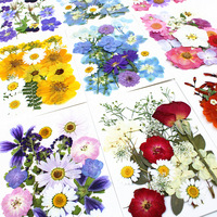 Kit de fleurs pressées naturelles mélangées pour loisirs créatifs, fleurs séchées véritables pour résine époxy, journal créatif, nail art, fabrication d'ornements faits main