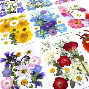 Kit <span class=keywords><strong>de</strong></span> Manualidades con Flores Prensadas Naturales Mixtas, Flores Secas Reales para Resina Epoxi, Decoración <span class=keywords><strong>de</strong></span> Uñas, Manualidades, Creación <span class=keywords><strong>de</strong></span> Adornos - Product Image 3