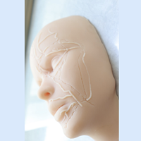 Tête de mannequin d'entraînement aux injections faciales en silicone KyrenMed, entièrement en silicone souple avec des os et des localisations des vaisseaux sanguins sur la moitié du visage