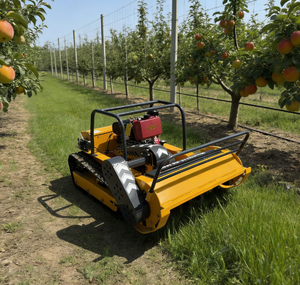 Tondeuse à gazon industrielle télécommandée à 4 temps, à chenilles, à essence, largeur de coupe 800 mm, tout-terrain, type char d'assaut, en promotion - Product Image 3