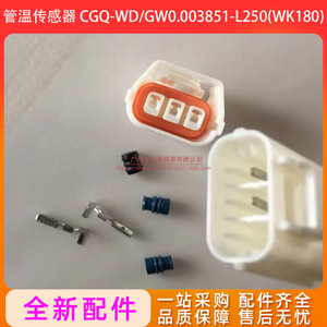เซ็นเซอร์วัดอุณหภูมิท่อ CGQ-WD/GW0.003851-L250 WK180 สำหรับคอมเพรสเซอร์แบบสกรูแรงเหวี่ยง - Product Image 2