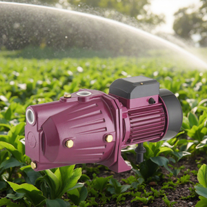 ZHELI 1英寸单级高吸力叶轮电动0.75千瓦1马力家庭用水喷射泵0.5HP Hidrojet De Agua - Product Image 1