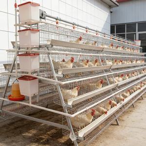 กรงไก่ขนาดมาตรฐานราคาโรงงาน สำหรับไก่ไข่ เหมาะสำหรับพื้นที่เขตร้อน - Product Image 1