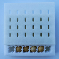 Emballage en mousse EPE pour œufs de caille, barquettes de transport, conteneurs de stockage, mousse PE, polystyrène moulé pour conteneurs d'expédition