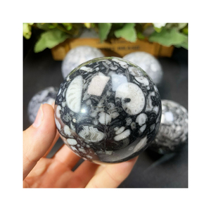 Nouveautés naturelles, minéraux, fossile d'<span class=keywords><strong>orthoceras</strong></span> avec sphère de goniatite, ammonite pour cadeau - Product Image 1