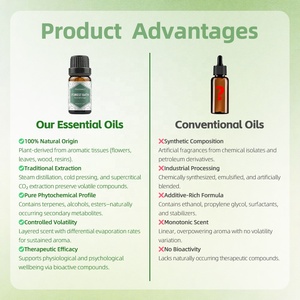 Op voorraad 10ml Biologische plantaardige waterbasis pepermunt etherische olie diffuser specifiek - Product Image 2