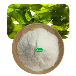 95% laminaria japonica fucoidan extrato de algas marinhas