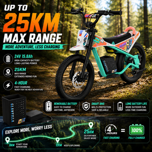 Vente en gros de motos électriques pour enfants 16S, 530W, haute puissance, avec roues tout-terrain de 16 pouces, pour les distributeurs - Product Image 3