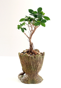 Hecho a mano decoración del hogar moderno diseño personalizado poliéster <span class=keywords><strong>groot</strong></span> pote de flor - Product Image 2