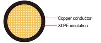 Cable Automotriz American Standard Sae J1127, Cobre 6AWG 125C, Cable Automotriz Aislado con XLPE, STX