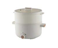 Vente en gros fabricant prix d'usine dernier luxe populaire couleur réglable antiadhésif électrique mini marmite multifonction