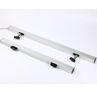 Actuadores eléctricos de doble cadena de aluminio de 24V 600N para ventanas, dispositivos de empuje y tracción con sensor de lluvia para claraboyas, extracción de humo y evacuación en caso de incendio